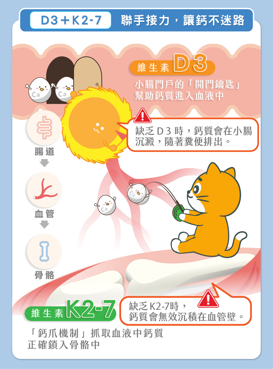 歸毛家族鈣鎂寶添加維生素D3與K2-7,獨特鎖鈣機制讓補鈣不迷路,高效強健寵物骨骼。