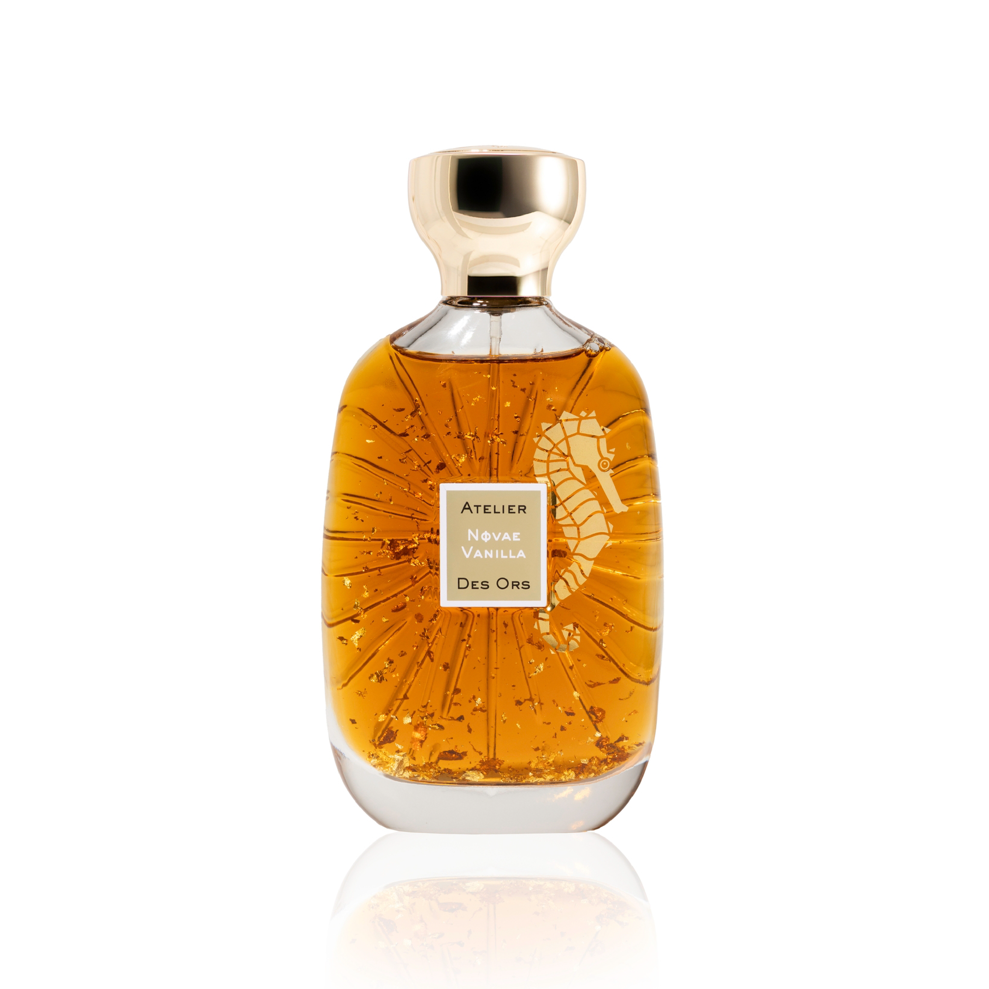 PERRIS MONTE CARLO ROSE DE MAI 五月千葉
