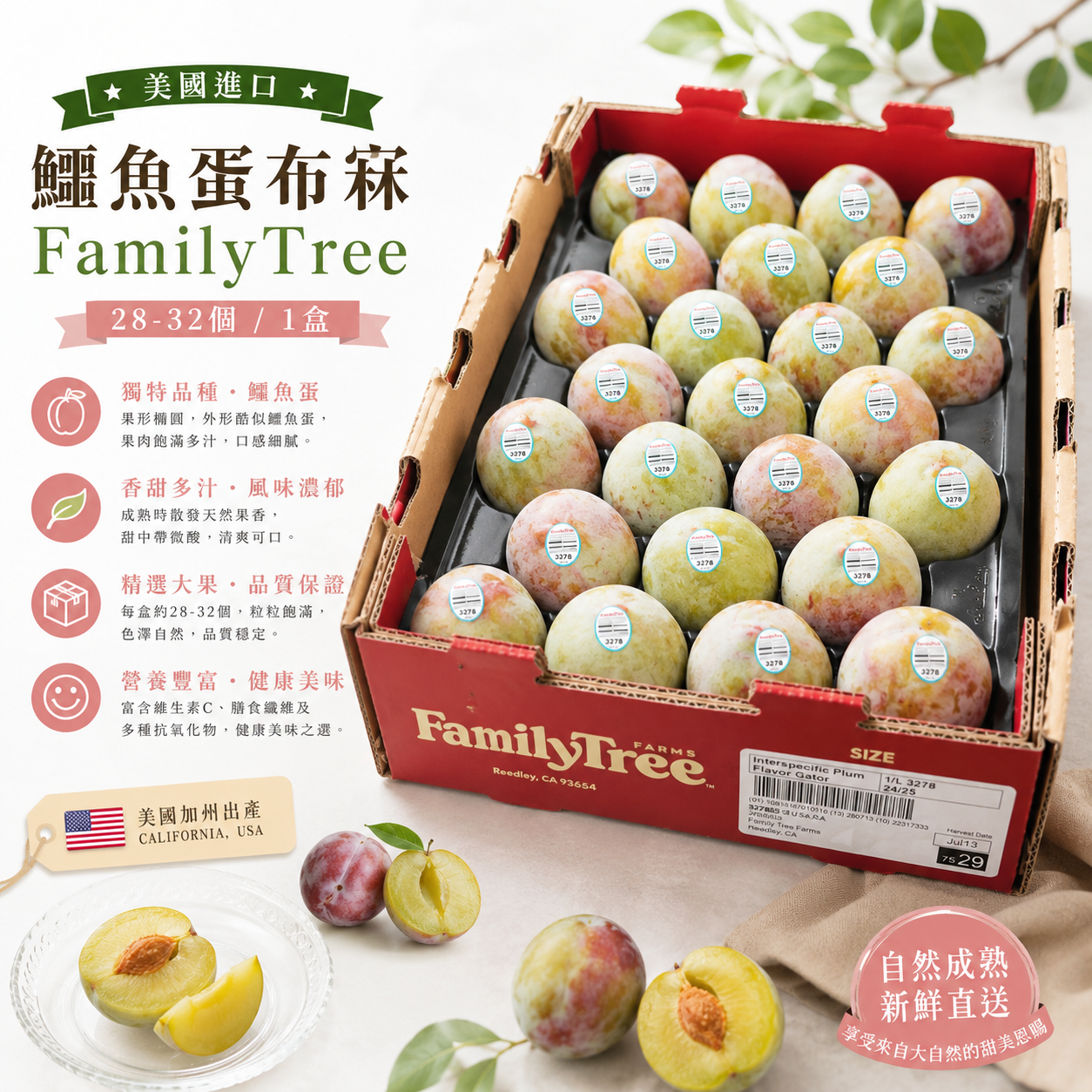 美國鱷魚蛋布冧(28-32個)-1盒