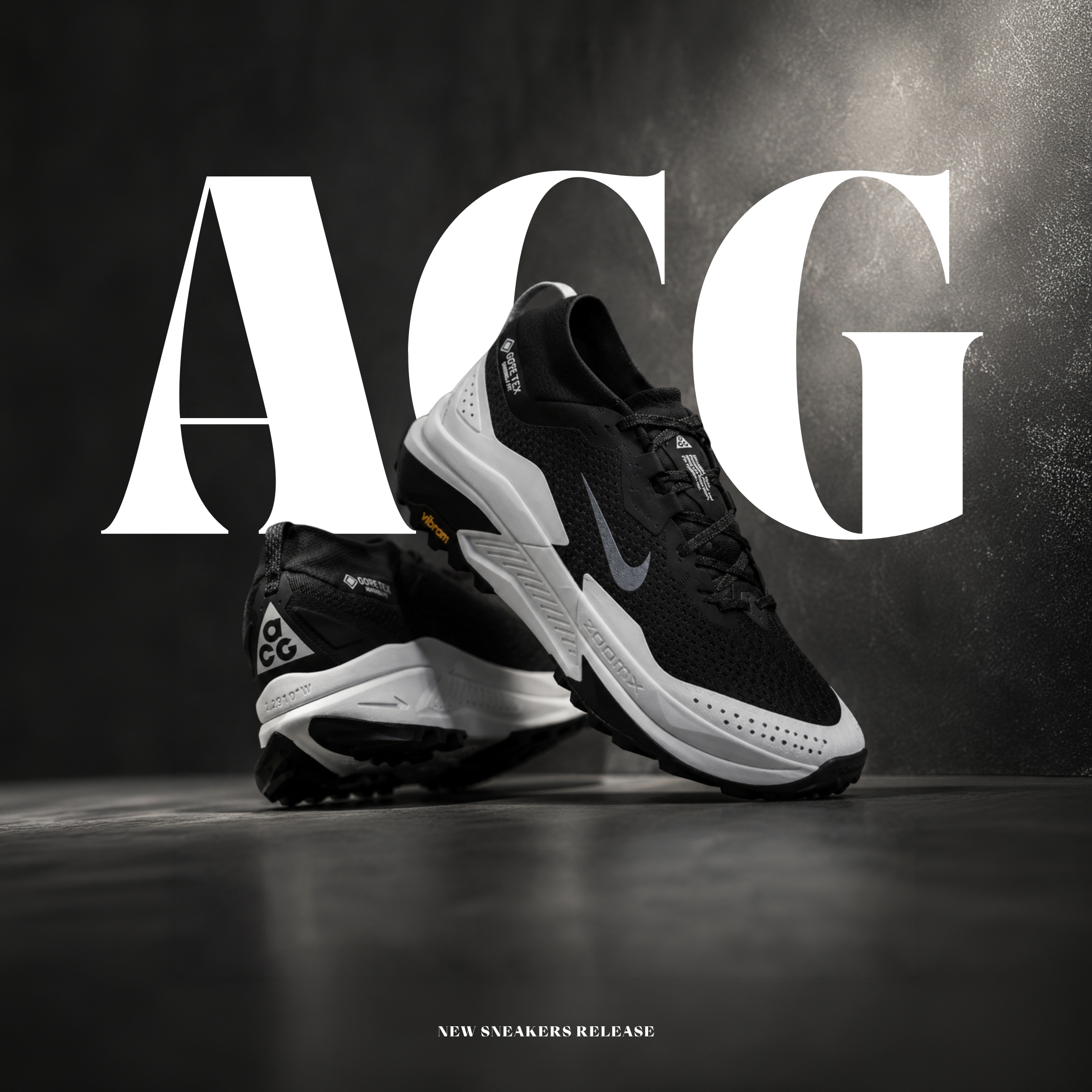 NICEDAY 代購 Nike ACG Zegama Trail 黑 黑白 白黑 運動 機能 慢跑 舒適 HV8113-001