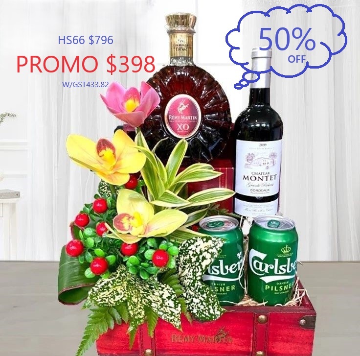 HS66 Remy Martin 750ml