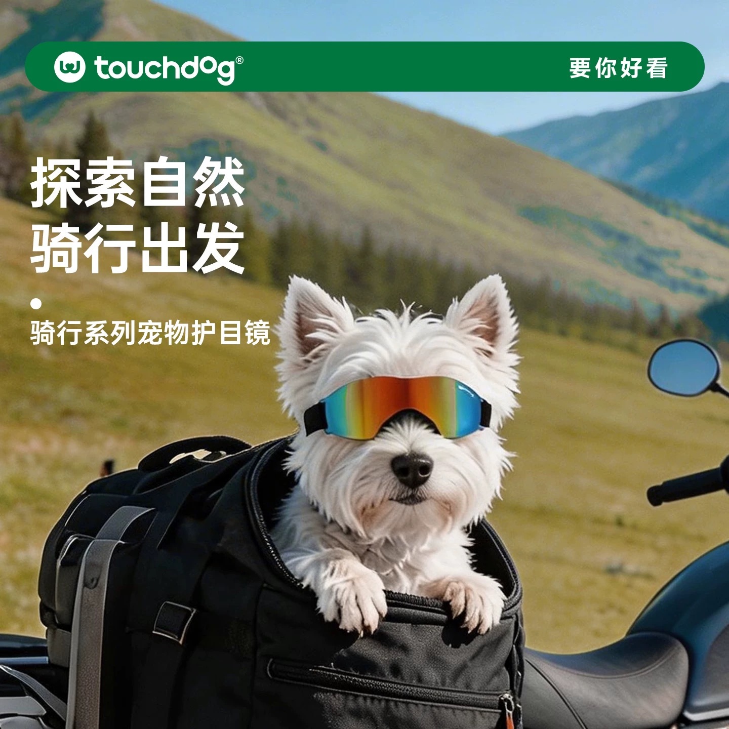 TOUCHDOG CYCLING SERIES PET GOGGLES