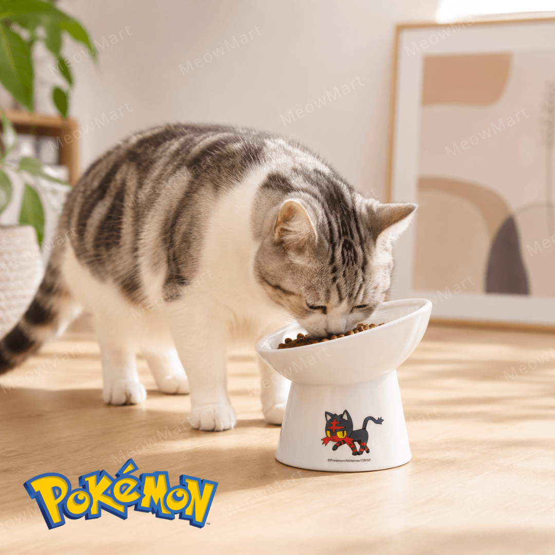 Pokémon x necoichi 火斑喵碗