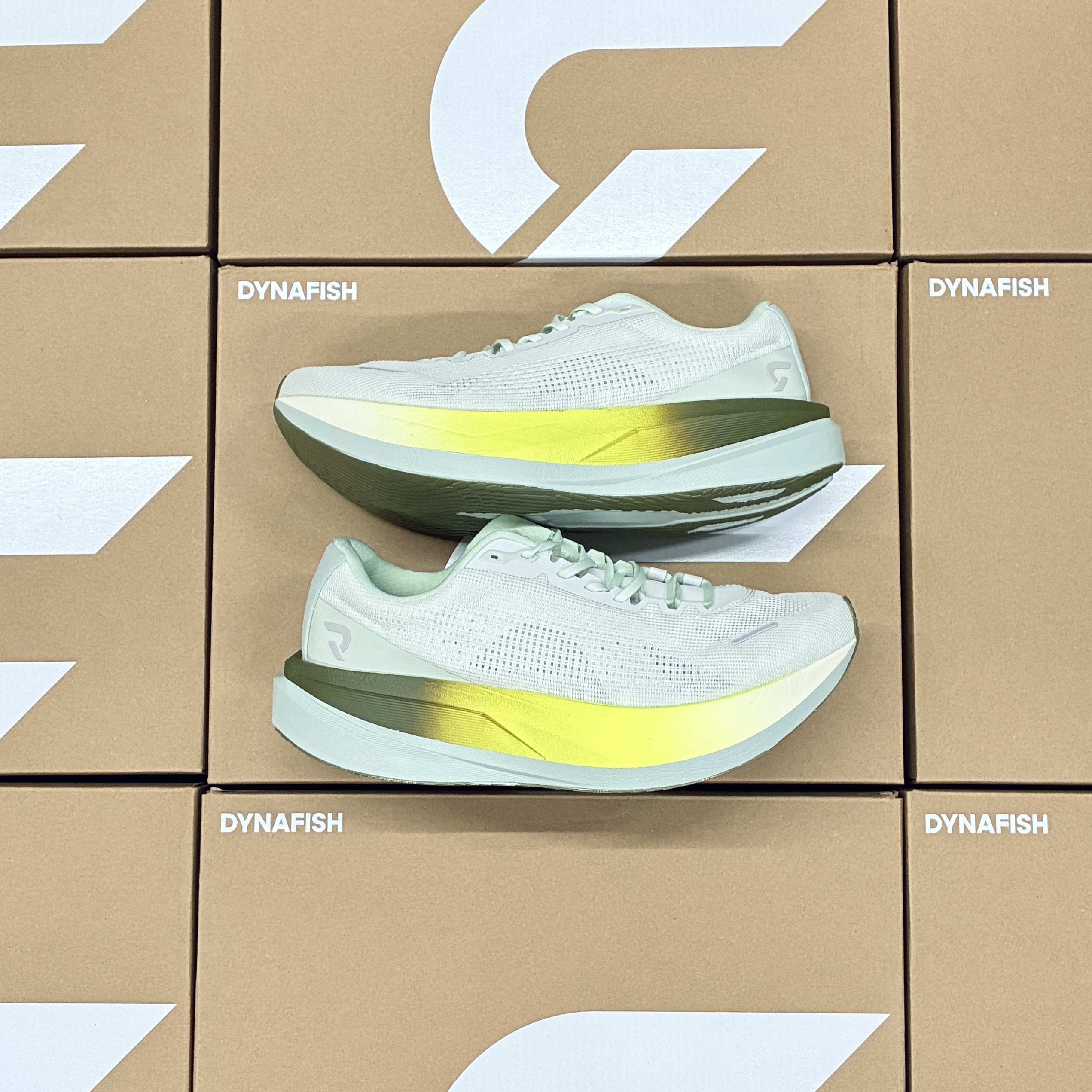 現貨) Dynafish Xiaonian Super Training Shoes (1 pair per order)