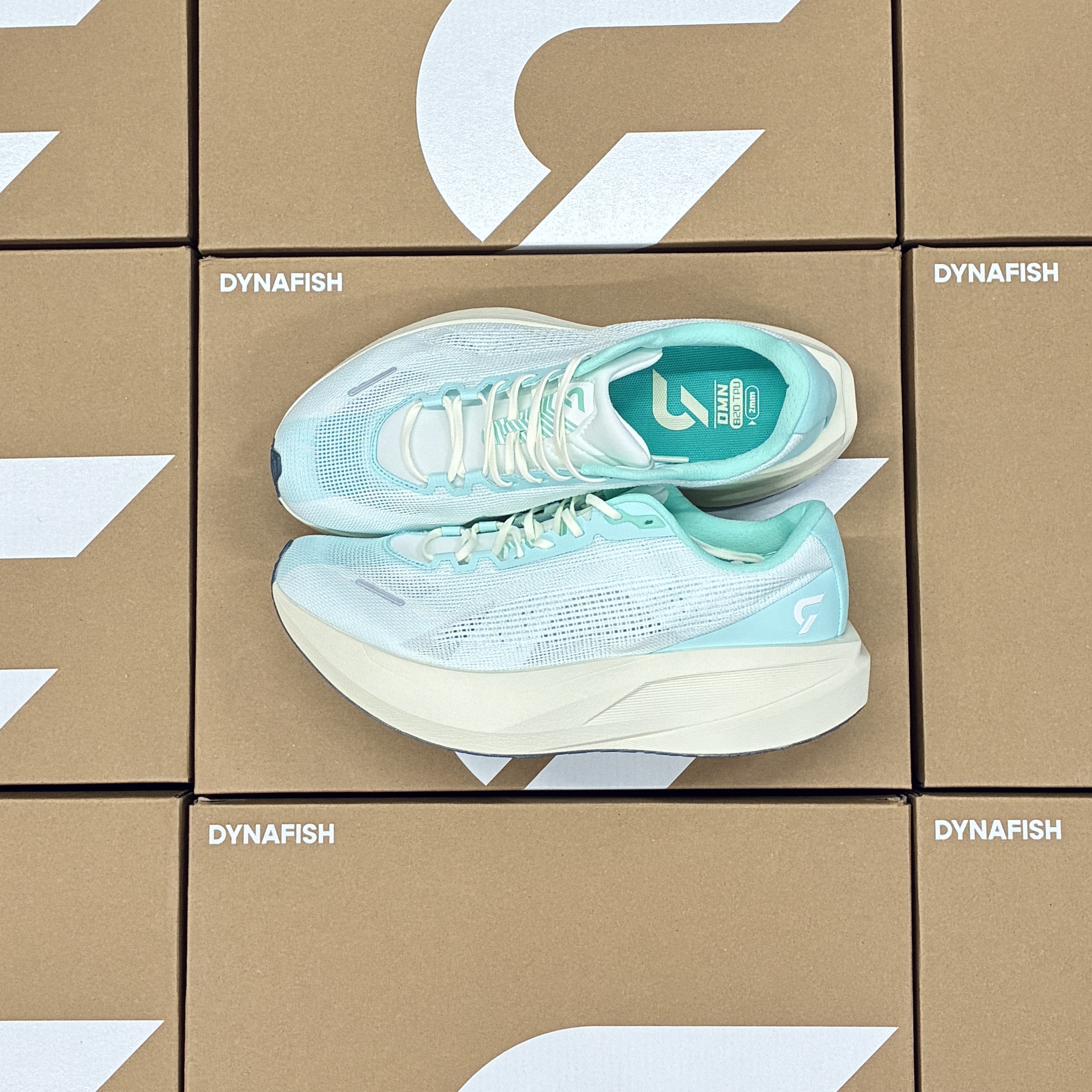 現貨) Dynafish Xiaonian Super Training Shoes (1 pair per order)