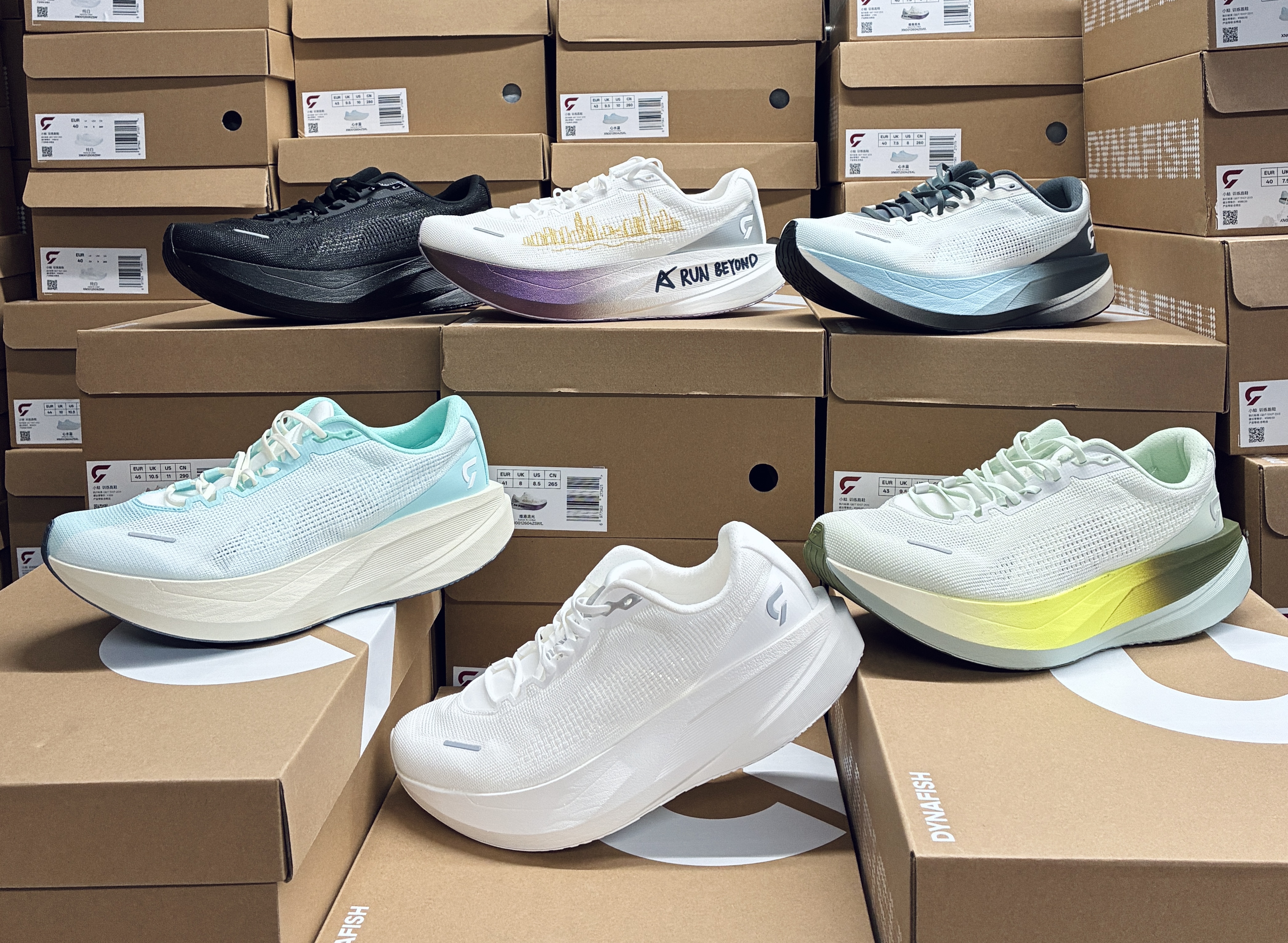 現貨) Dynafish Xiaonian Super Training Shoes (1 pair per order)
