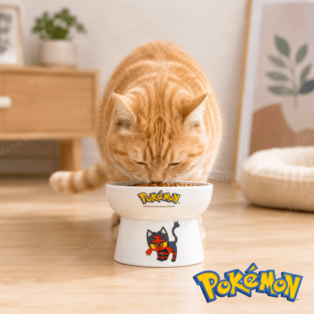 Pokémon x necoichi 火斑喵碗
