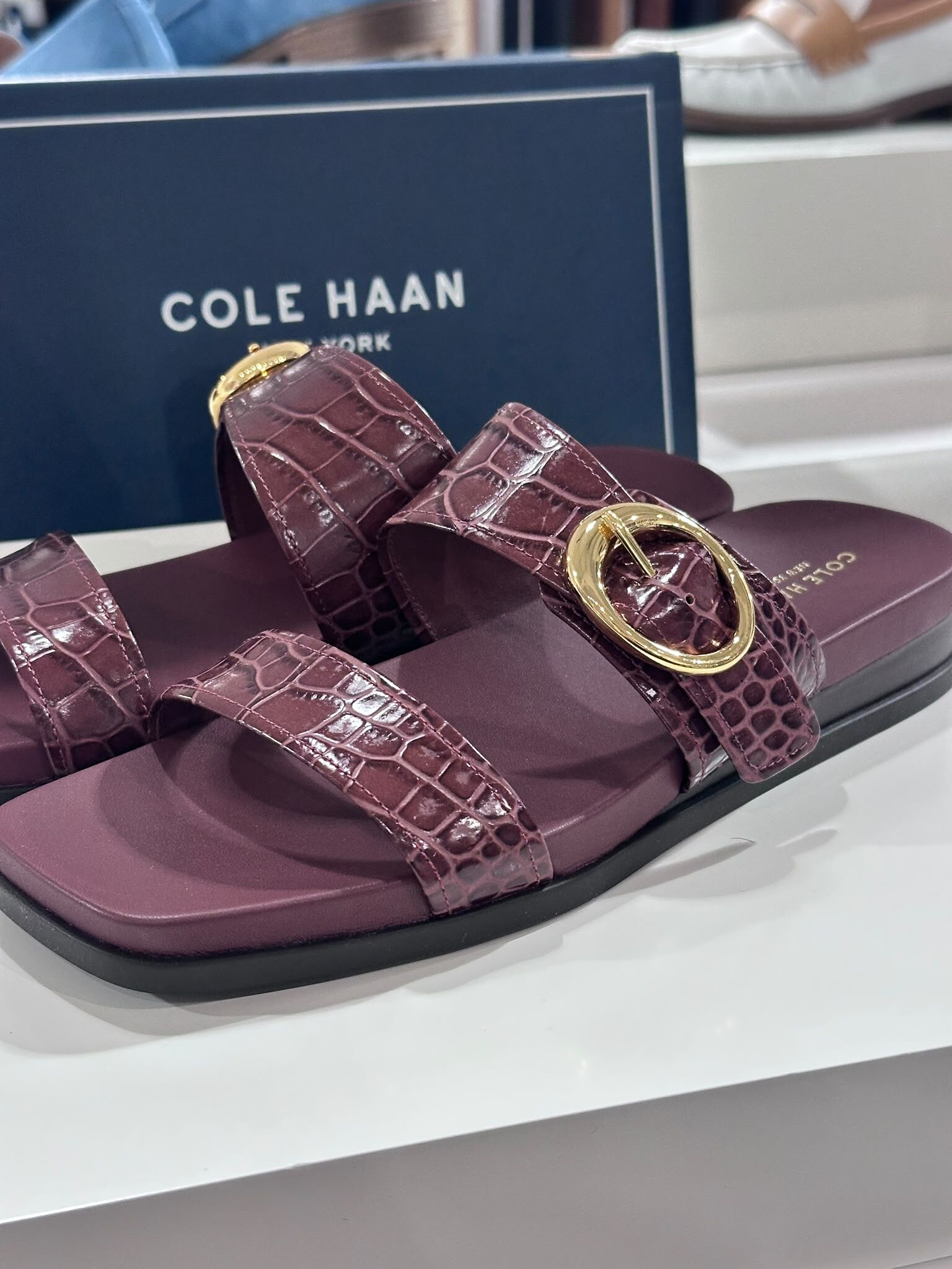 UN19 Cole Haan 女裝 酒紅色鱷魚紋皮 雙帶拖鞋 Oaklynn Double Band Footbed Sandals