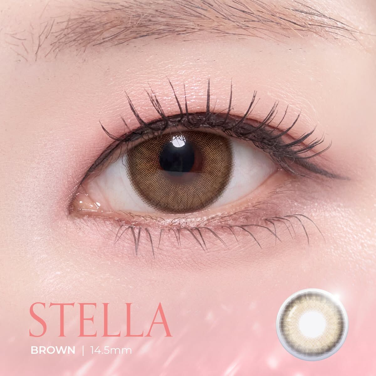 韓國GEO 彩色日拋_Stella Brown_10片裝