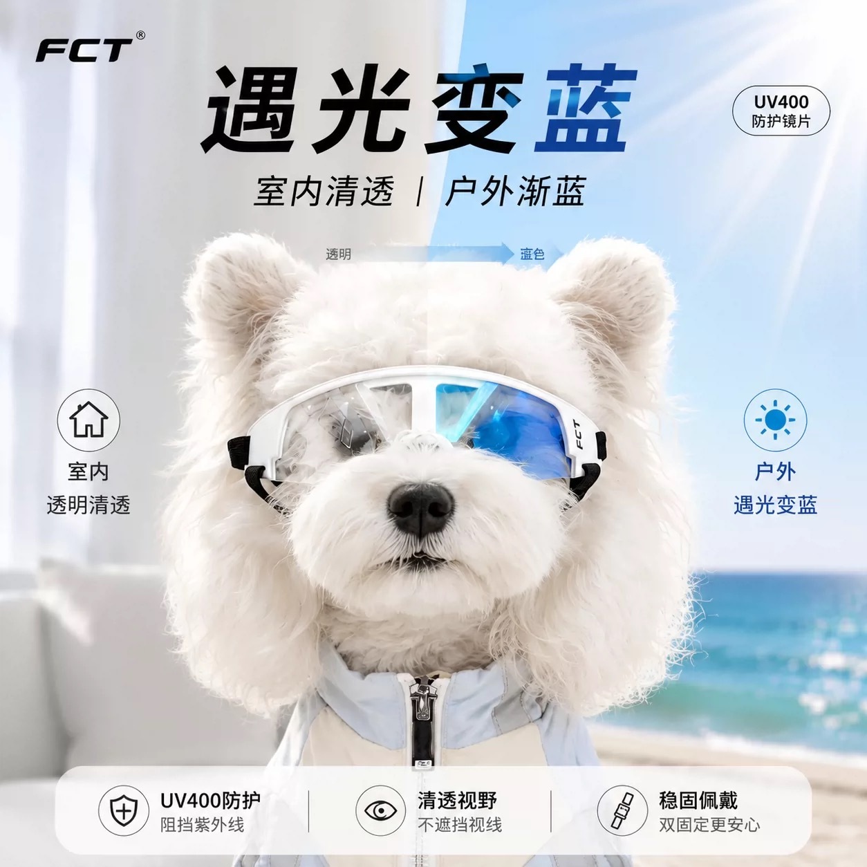 FCT PET PROTECTIVE GOGGLES