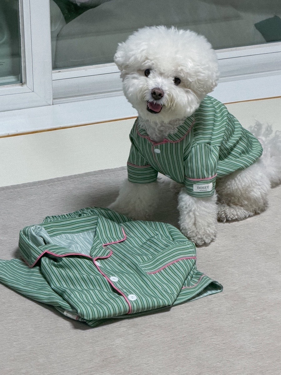【預購】Dossy 貓狗同版 Pet Pajamas 短袖 睡衣 寵物 親子裝 NMIXX Haewon 吳海嫄 同款花色 多款可選