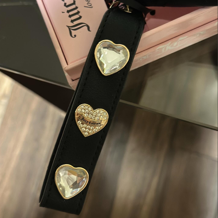 【現貨】JUICY COUTURE LX0725118 Starstruck 手挽銀包