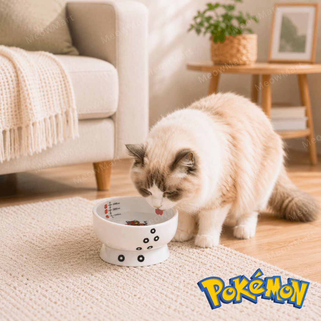 Pokémon x necoichi 火斑喵碗