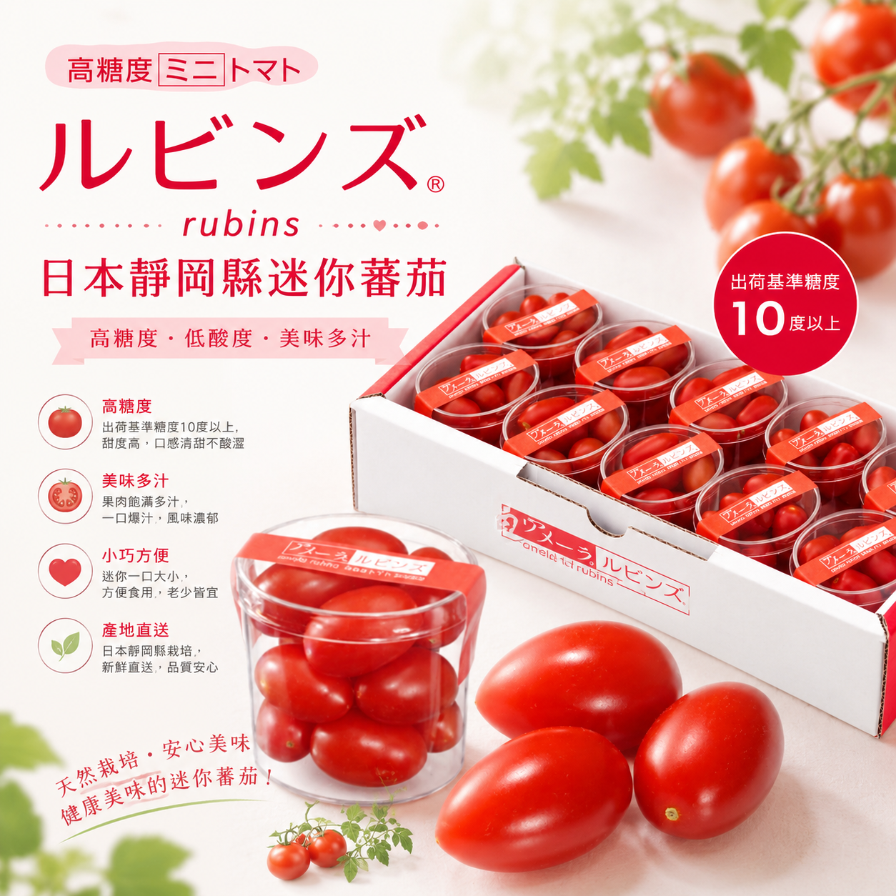 日本靜岡縣迷你蕃茄