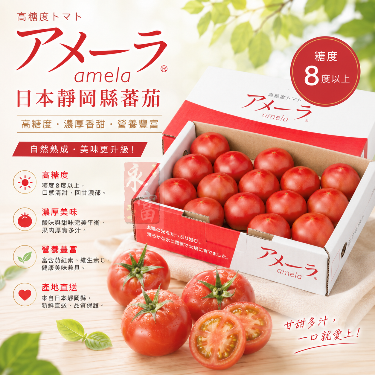 日本靜岡縣生果蕃茄