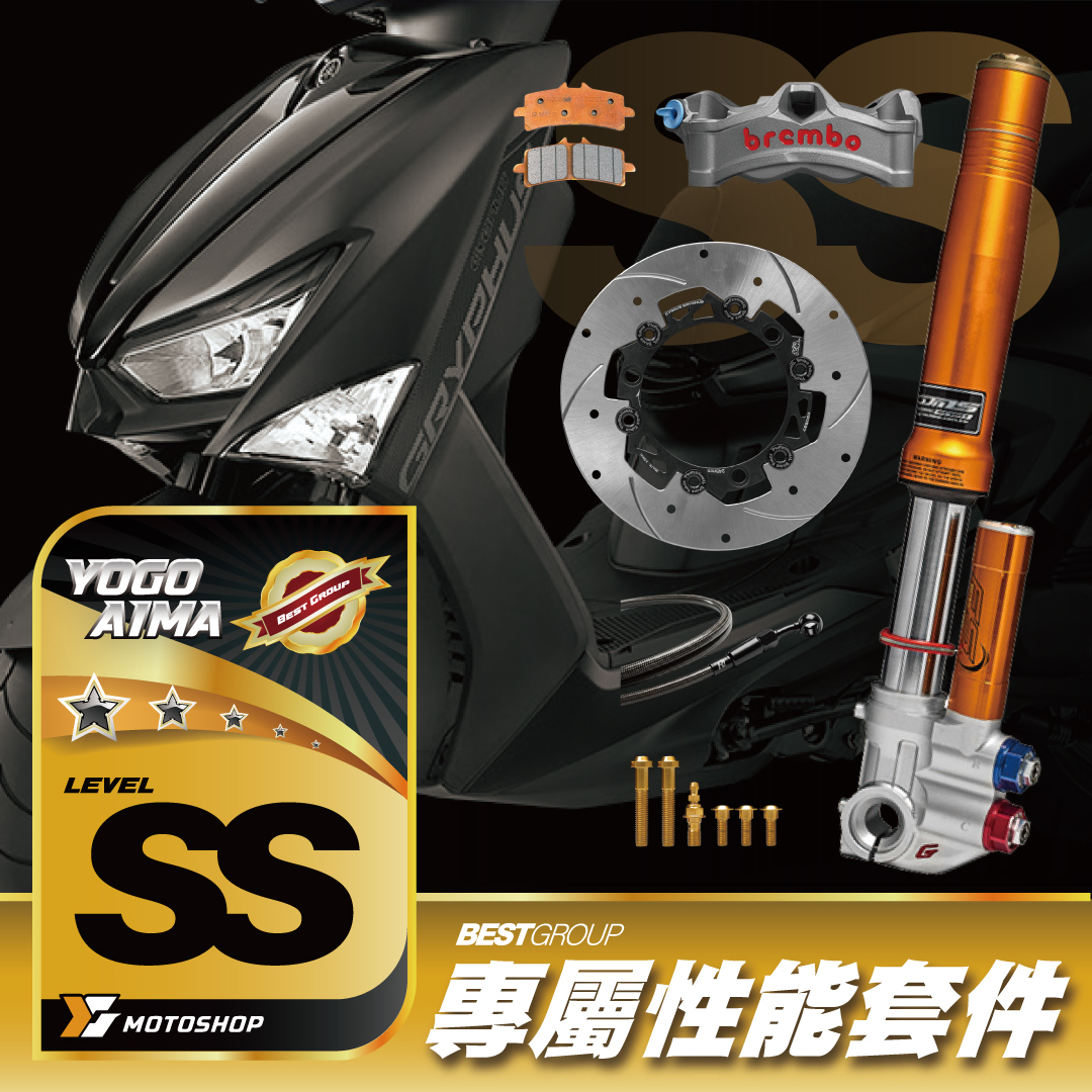 SS級前懸吊套件.6代戰.FSX.STYLEMA.暴力虎山道C