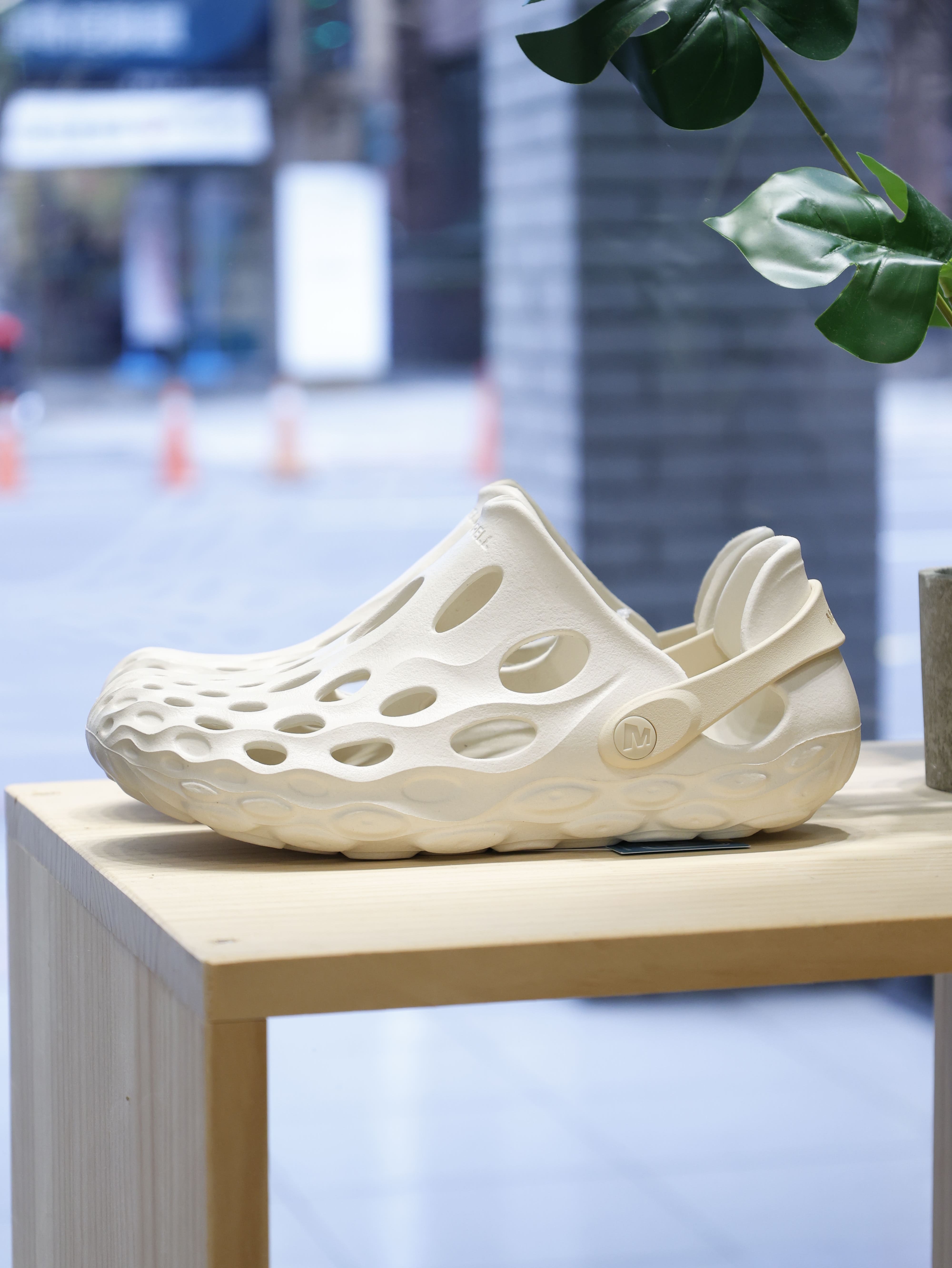 Merrell 女 HYDRO MOC 水陸鞋 米白 ML00005874
