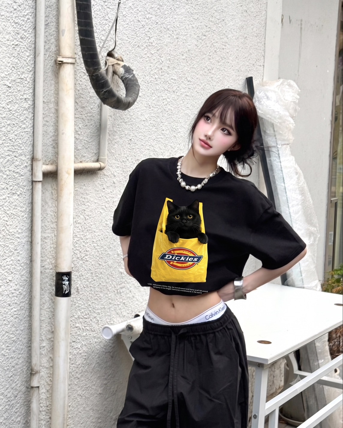 <48小時限時折扣>Dickies 美式 復古 喵喵外帶 印花 Logo 純棉 短袖 4色