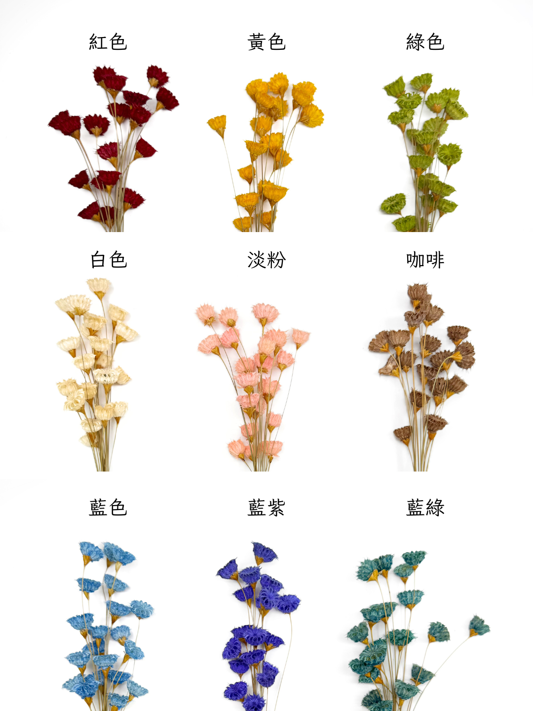 乾燥小酒盅