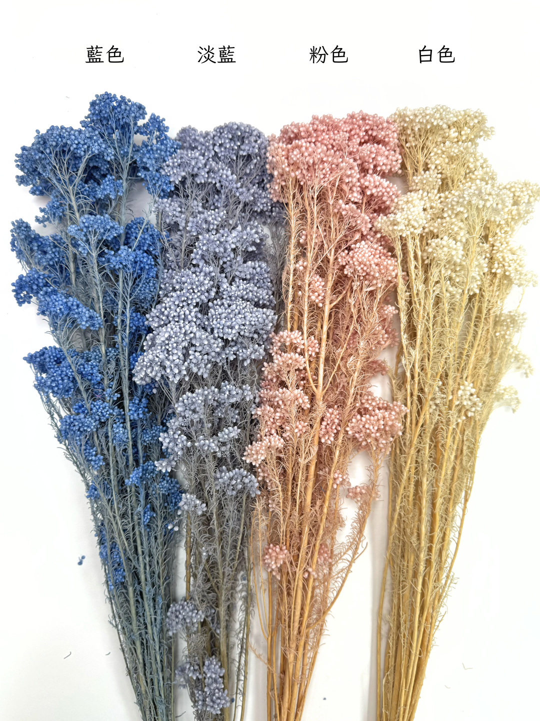 永生漂色米香花