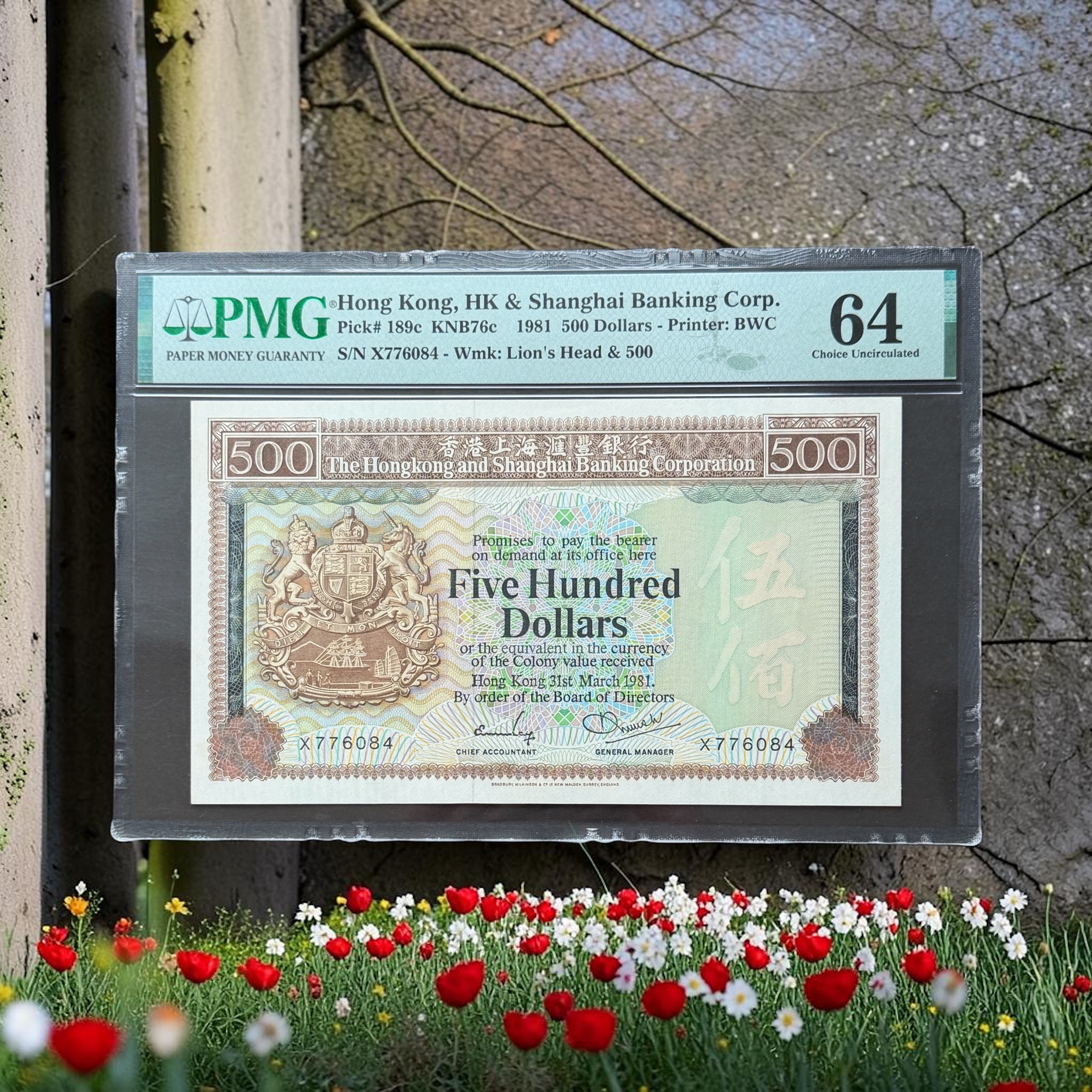 1981年匯豐銀行500元 (PMG 64分) X776084