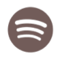 Spotify Connect