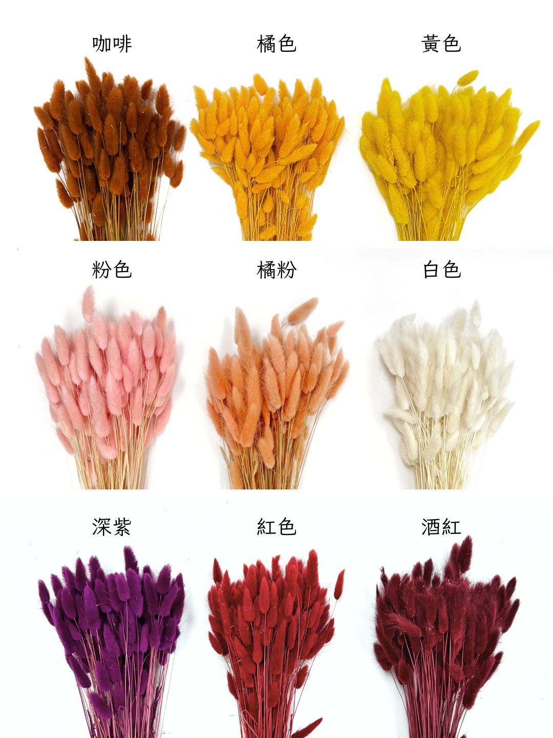 義大利乾燥兔尾草