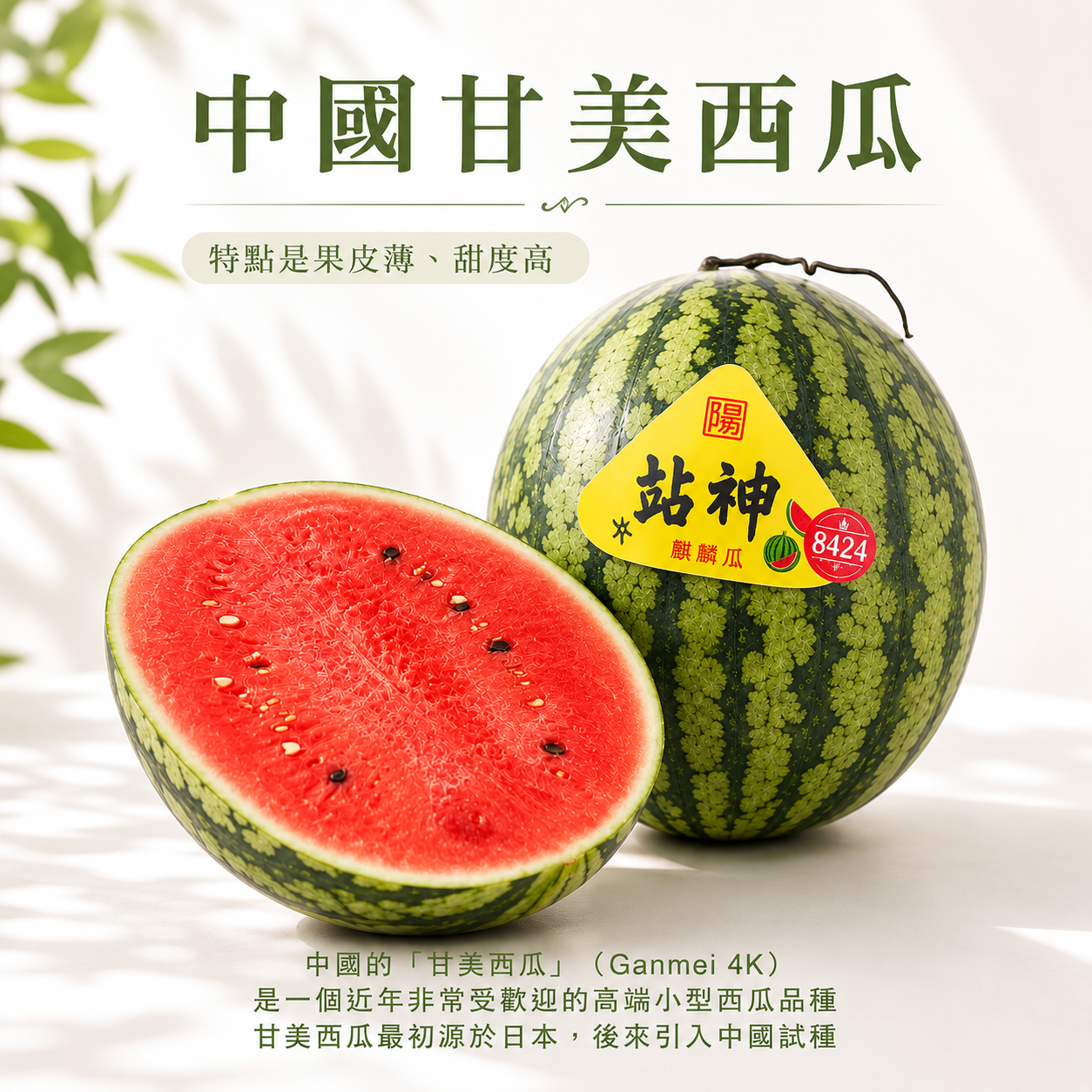 中國甘美西瓜(6-7磅)