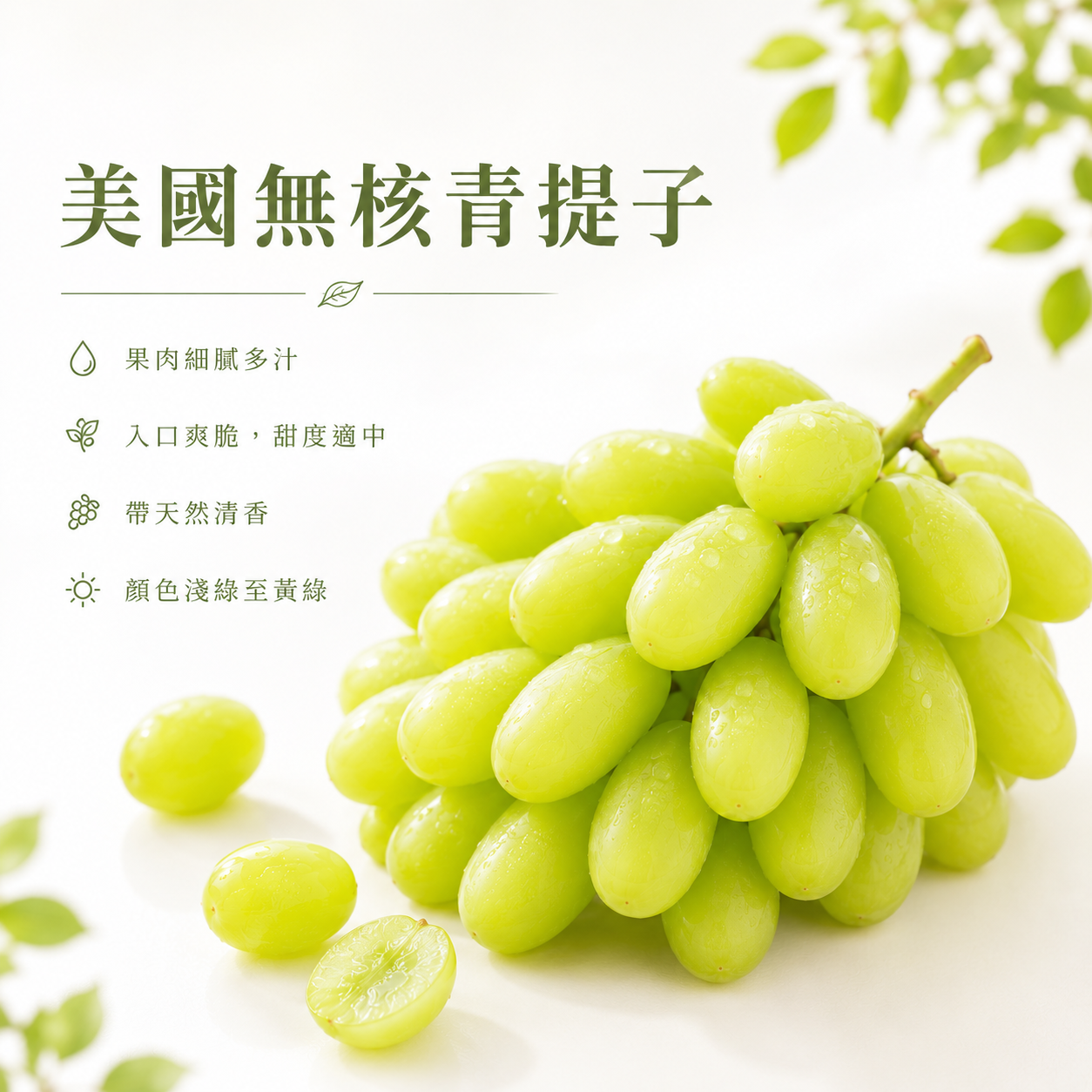 美國無核青提子(1磅)-1包
