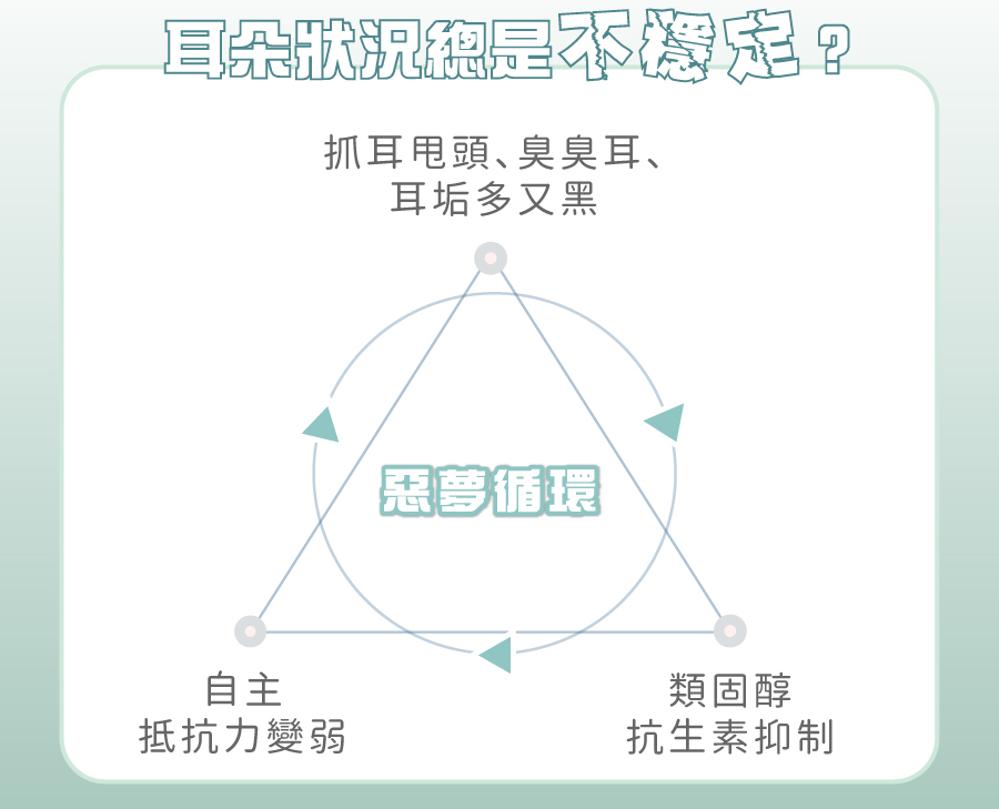 耳朵惡夢循環：長期使用類固醇抗生素抑制會降低自主抵抗力 ，使耳垢又臭又黑抓耳甩頭等狀況反反覆覆。