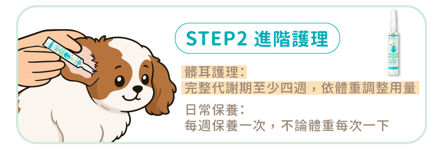 歸毛家族耳道養護第二步：使用萌耳靈進行髒耳進階護理，依體重調整用量，四週深層修護並維持耳朵健康。