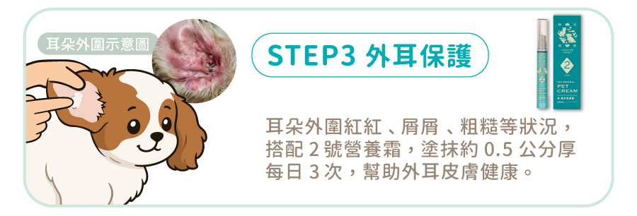 歸毛家族外耳保護第三步：塗抹 2 號營養霜約 0.5 公分厚，每日 3 次舒緩發紅與乾燥屑屑 。