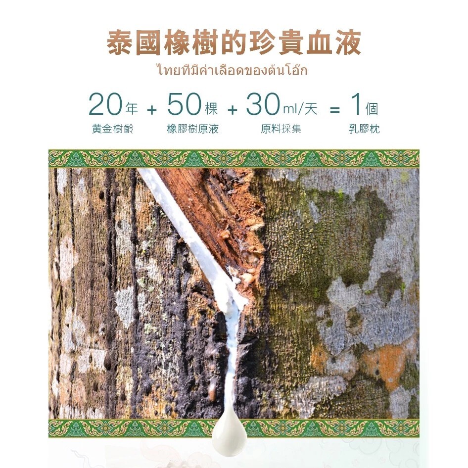 【藍貓BlueCat】天然兒童乳膠墊 乳膠床墊