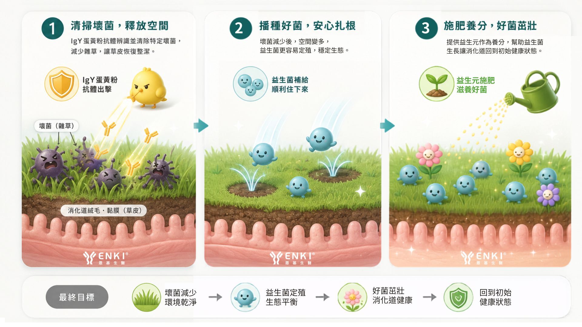 為了更好理解IgY蛋黃粉,蔡翔宥藥師請大家想像一下,你的消化道絨毛與黏膜是草皮,草皮上的壞菌就是雜草,Next IgY蛋黃粉抗體針對特定壞菌進行清除,壞菌減少之後,草皮上的空間變多,就能像種花朵種子一樣,補給益生菌更順利住下來扎根,必要時為草皮施肥,給予益生菌養分,幫助好菌生長,讓消化道回到初始健康狀態。