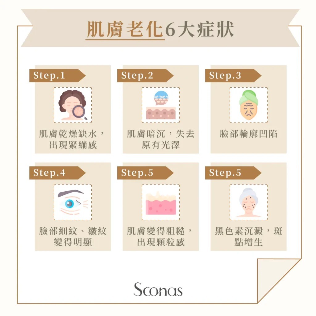 肌膚老化6大症狀