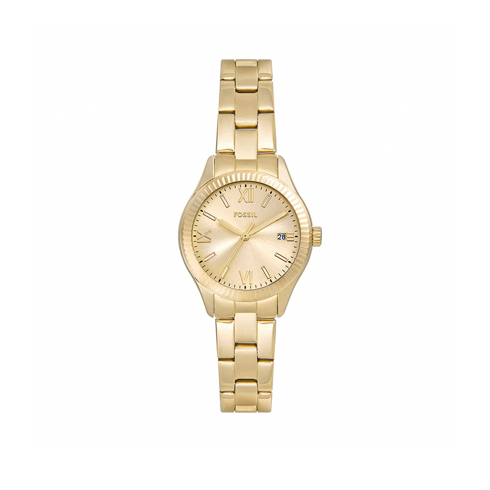 Rye 璀璨耀金典雅羅馬時標不鏽鋼細鍊女錶 金色不鏽鋼錶帶 30 MM BQW3638