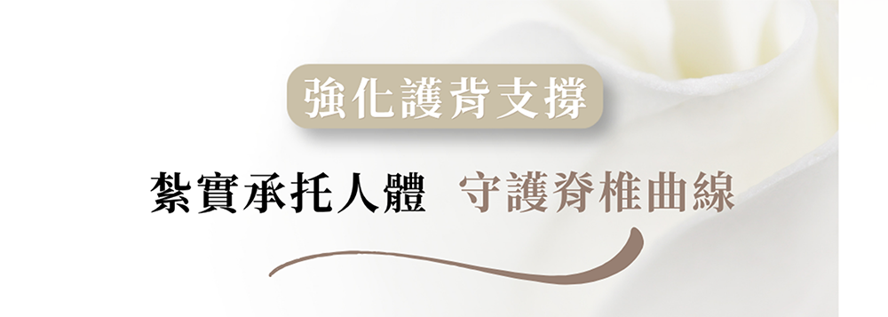 強化護背支撐