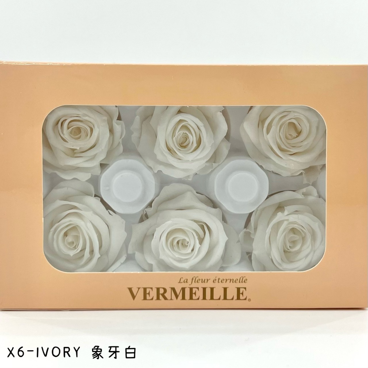 哥倫比亞 VERMEILLE-INES(X6朵) 象牙白
