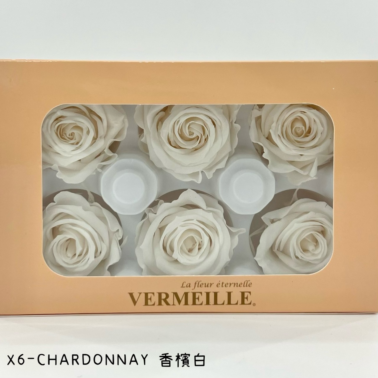 哥倫比亞 VERMEILLE-INES(X6朵) 香檳白