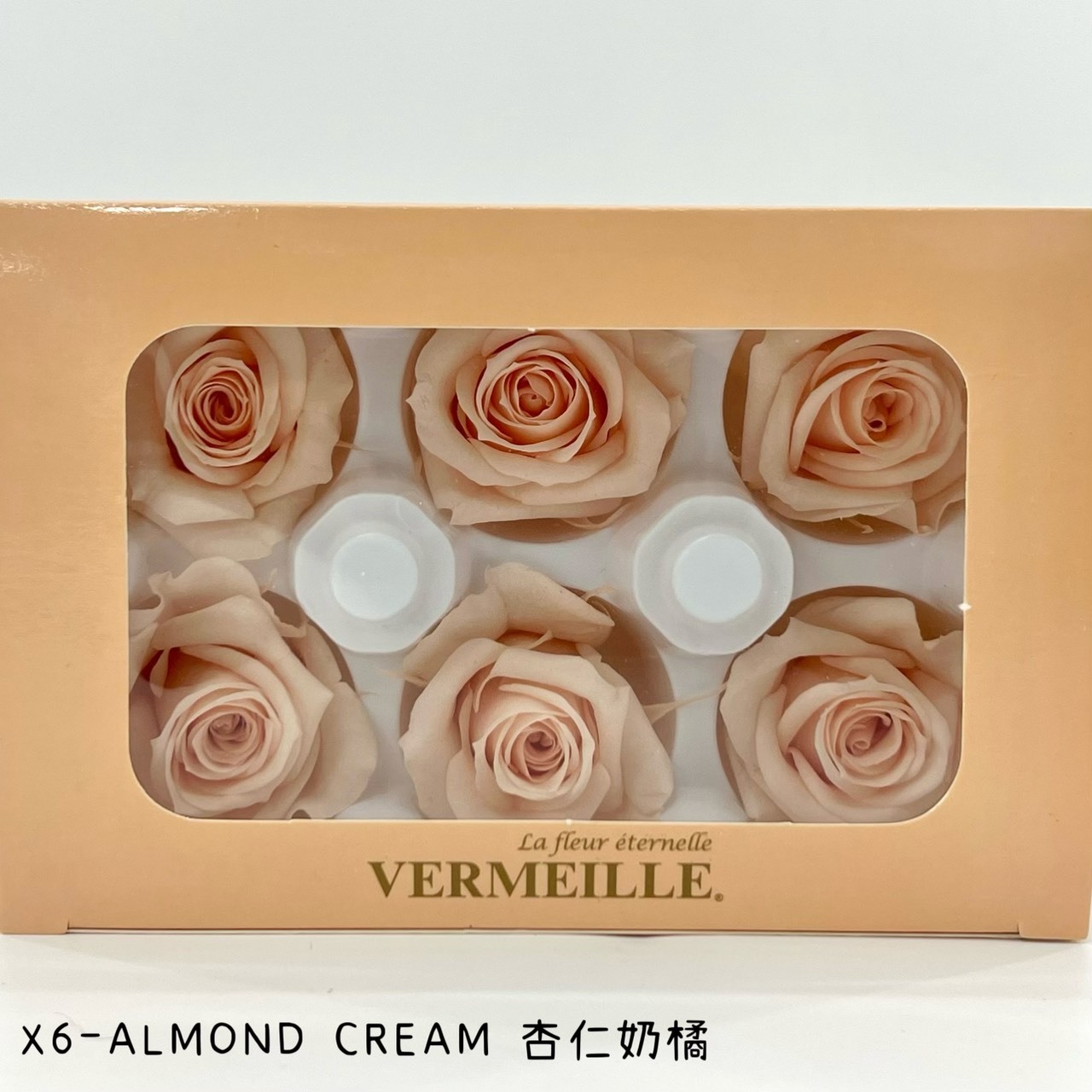 哥倫比亞 VERMEILLE-INES(X6朵) 杏仁奶橘