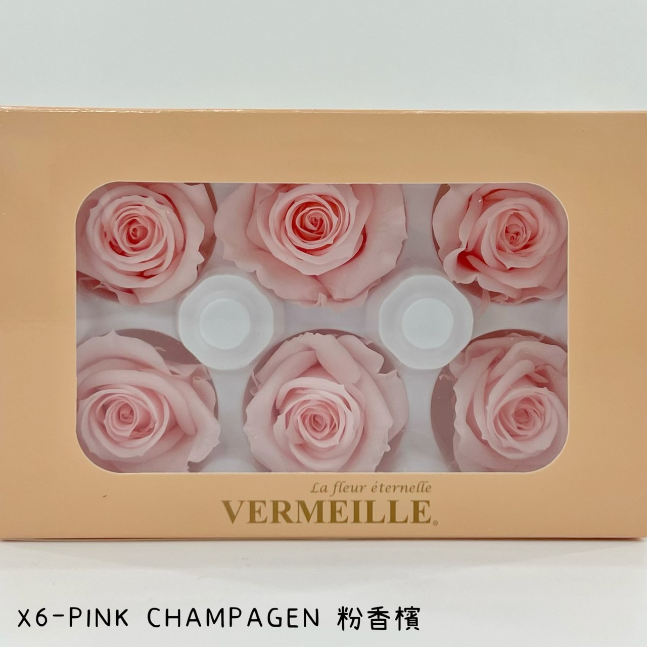 哥倫比亞 VERMEILLE-INES(X6朵) 粉香檳
