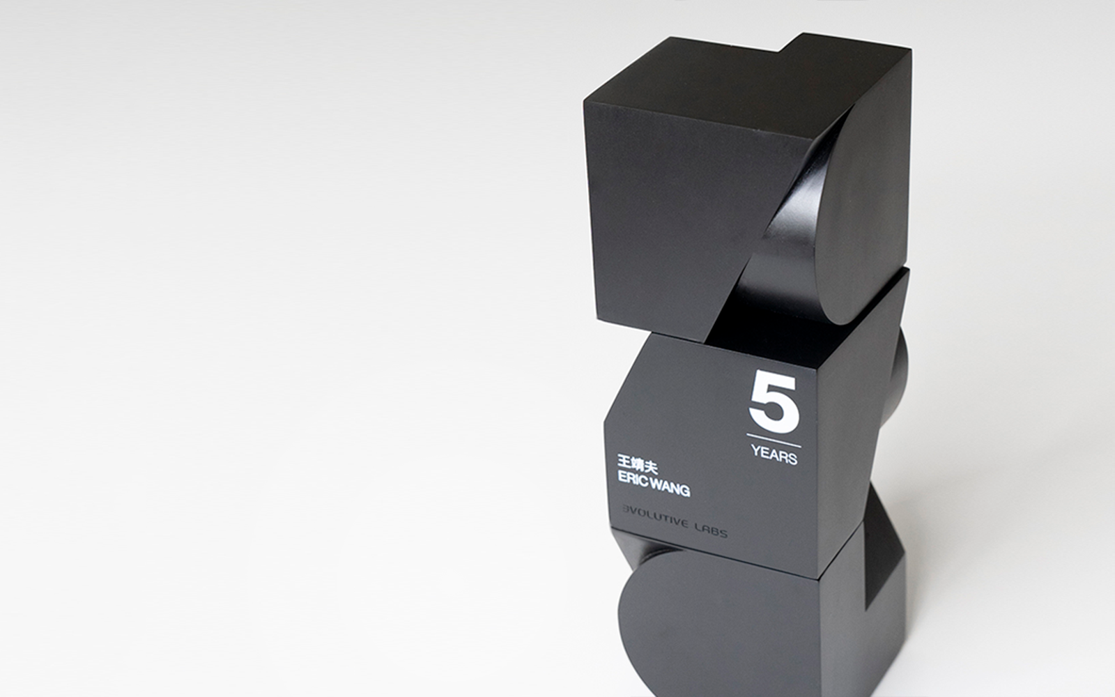 EVOLUTIVE LABS_detail03