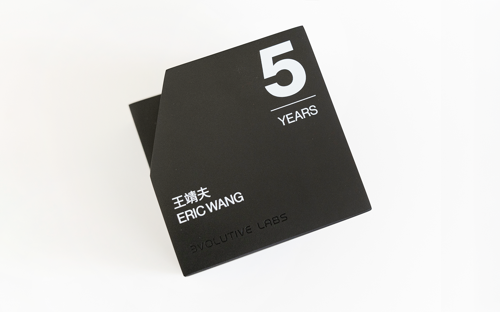 EVOLUTIVE LABS_detail01