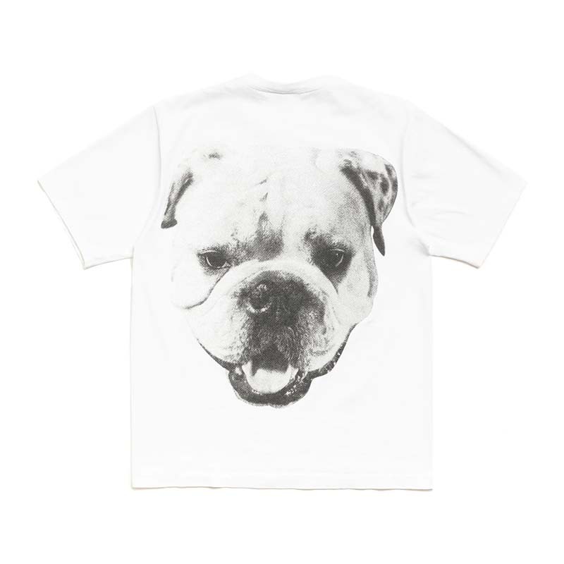 Stussy Big Dog Stone Washed Tee White 鬥牛犬 短袖上衣 白色 1905211-WE [台灣現貨]