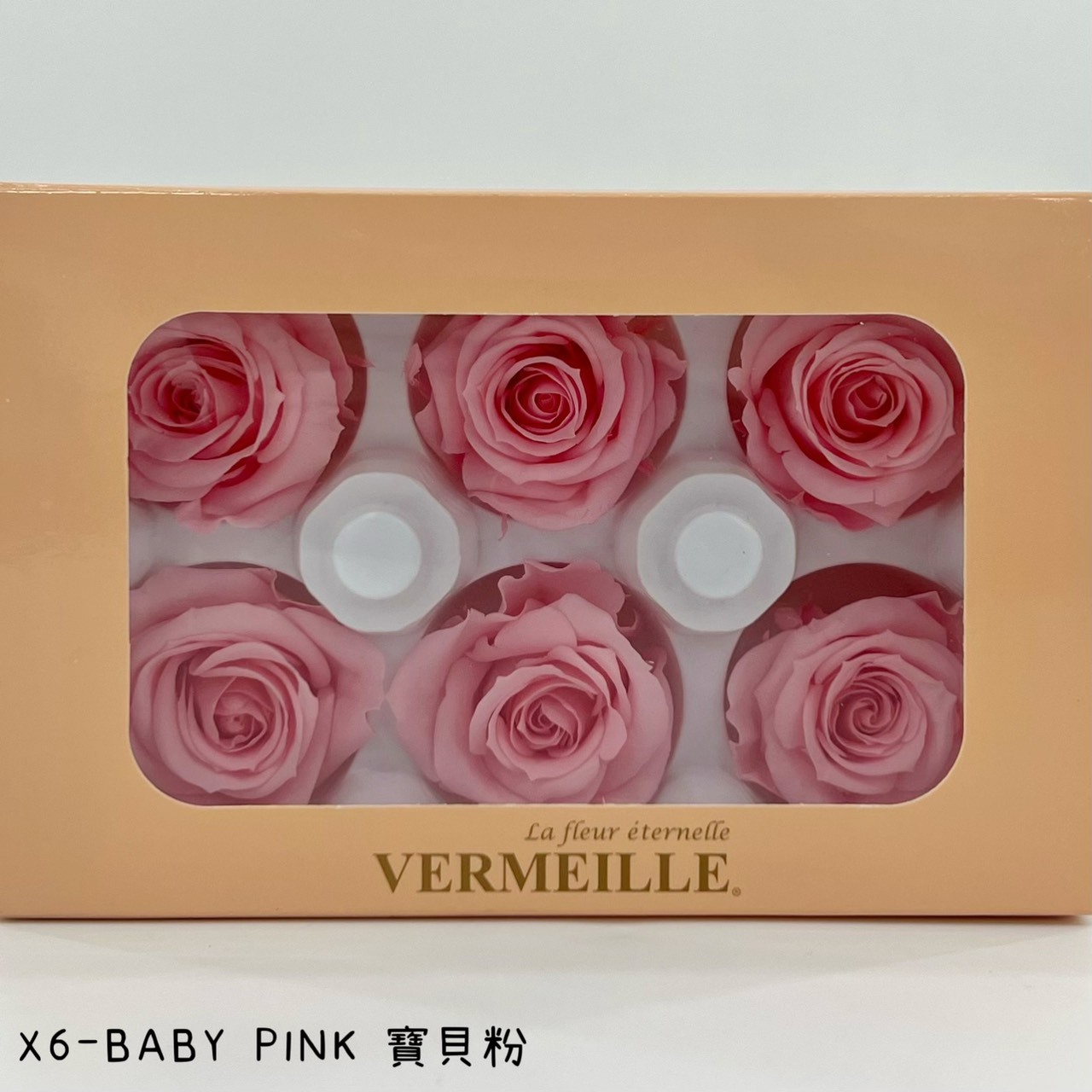 哥倫比亞 VERMEILLE-INES(X6朵) 寶貝粉