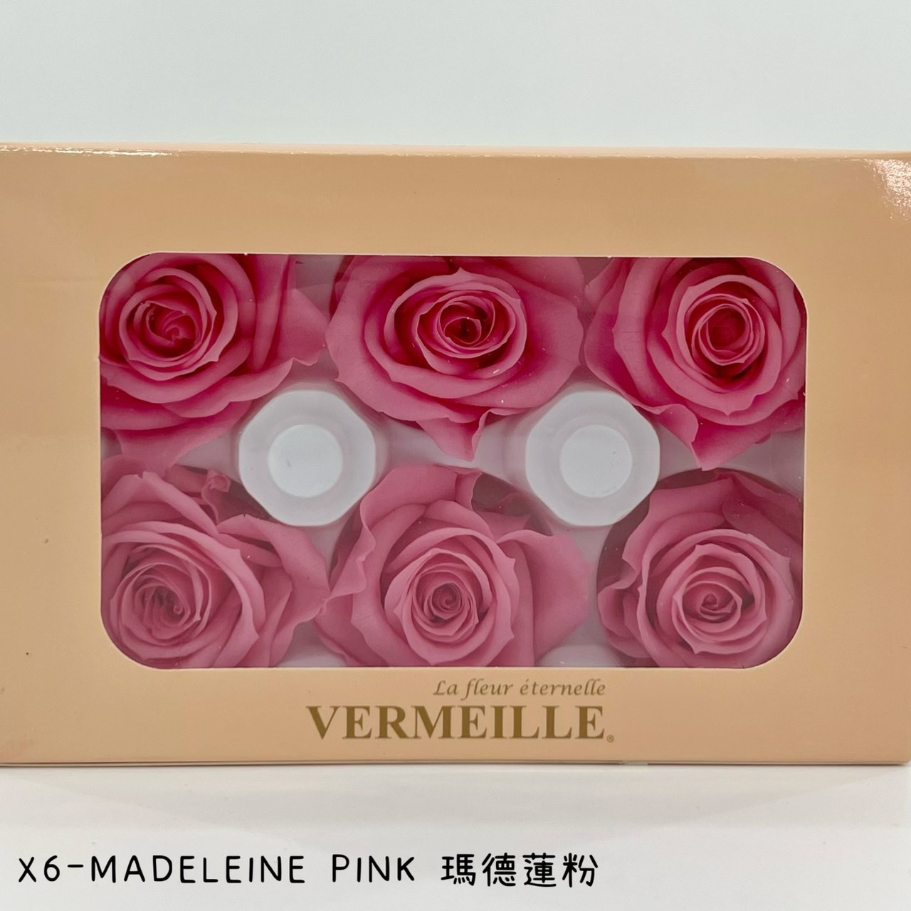 哥倫比亞 VERMEILLE-INES(X6朵) 瑪德蓮粉