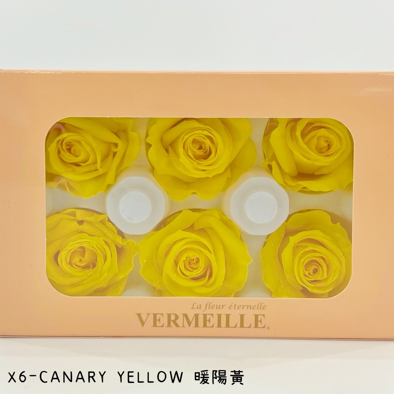 哥倫比亞 VERMEILLE-INES(X6朵) 暖陽黃