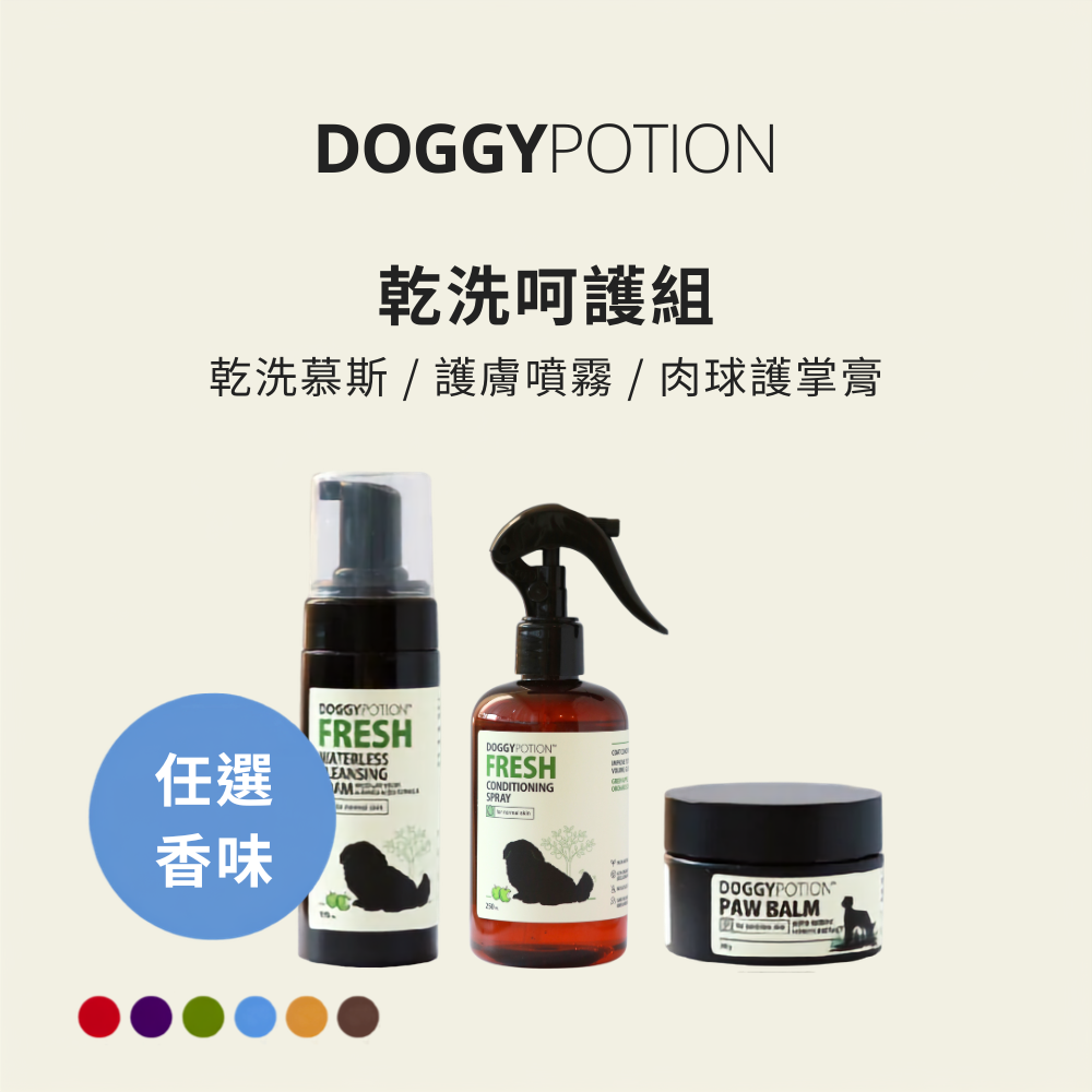 [免運] 乾洗呵護組 - 乾洗慕斯+護膚噴霧+肉球護掌膏｜DOGGYPOTION