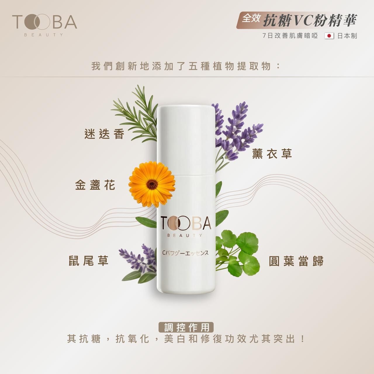 0728VT02-VIMTOX-VT-TOOBA 全效VC粉精華5g [$1000/任選4件再送防曬乳液30ml]（A2）