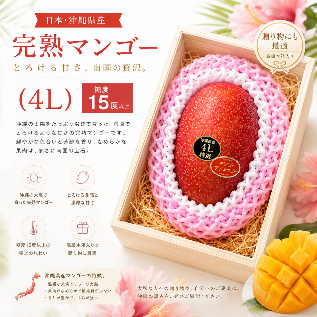 日本沖繩縣芒果(4L)(1個)-1盒